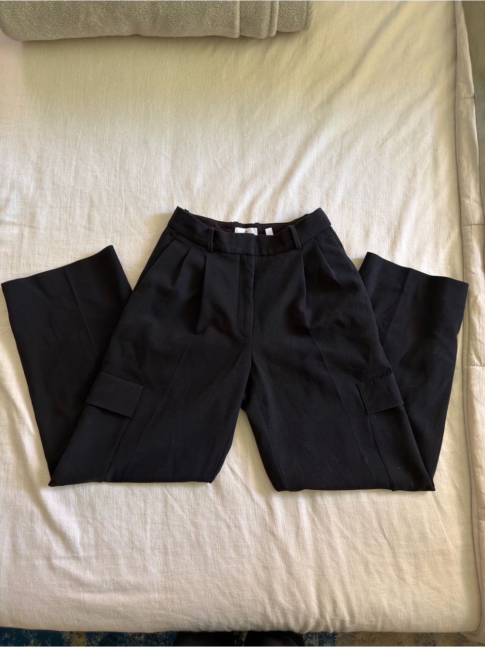 Aritzia Babaton Spotlight Cargo Pants